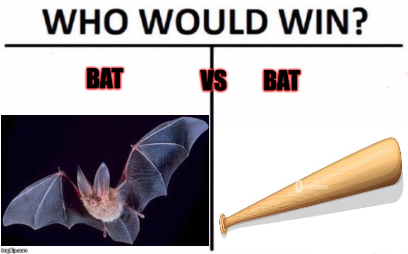 Bat Vs Bat | BAT; VS        BAT | image tagged in who would win | made w/ Imgflip meme maker