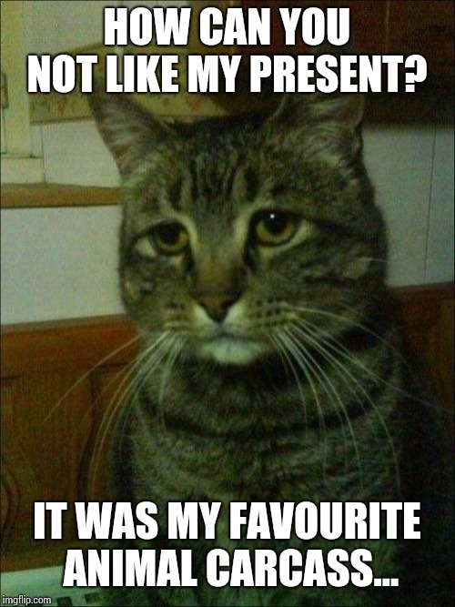 What do you mean?  | HOW CAN YOU NOT LIKE MY PRESENT? IT WAS MY FAVOURITE ANIMAL CARCASS... | image tagged in memes,depressed cat | made w/ Imgflip meme maker