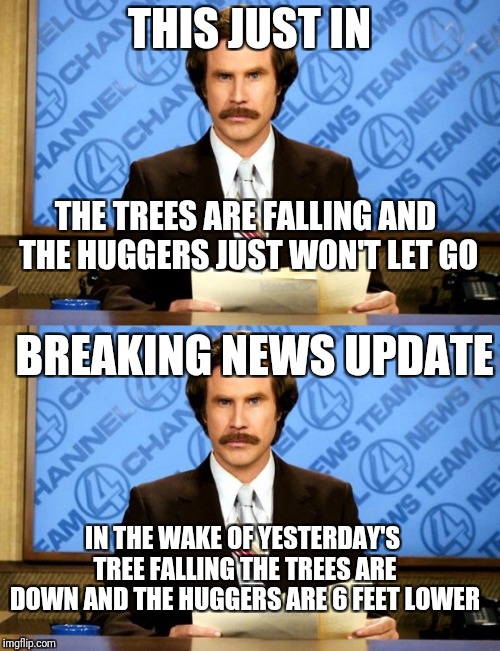 For The Trees!!! meme mashup for MEME MASHUP WEEK Sep 24th - Sep 28th (A 44colt event) | THIS JUST IN; THE TREES ARE FALLING AND THE HUGGERS JUST WON'T LET GO; BREAKING NEWS UPDATE; IN THE WAKE OF YESTERDAY'S TREE FALLING THE TREES ARE DOWN AND THE HUGGERS ARE 6 FEET LOWER | image tagged in memes,ron burgundy,this just in,funny,meme mashup week,44colt | made w/ Imgflip meme maker