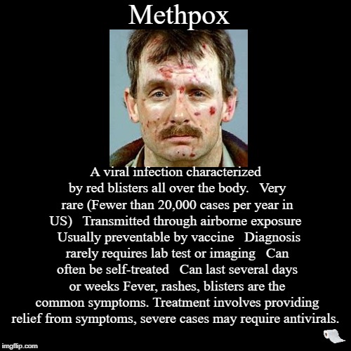 The importance of vaccinations can't be overstated. Methpox are a real danger.  | Methpox | A viral infection characterized by red blisters all over the body. Very rare (Fewer than 20,000 cases per year in US) Transmit | image tagged in funny,demotivationals,meth,chickenpox,vaccinations | made w/ Imgflip demotivational maker