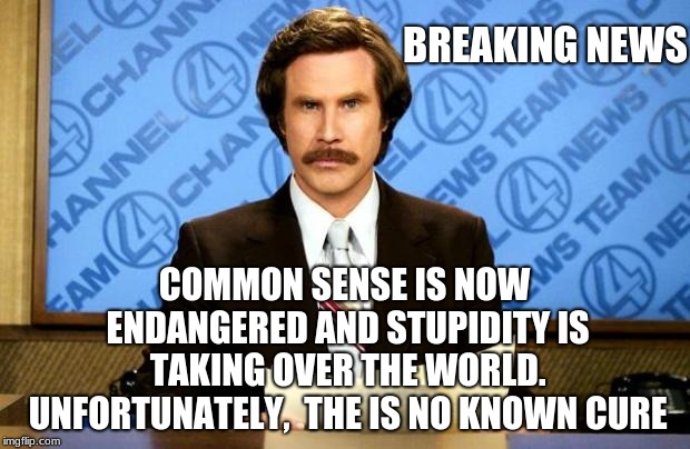 BREAKING NEWS | BREAKING NEWS; COMMON SENSE IS NOW ENDANGERED AND STUPIDITY IS TAKING OVER THE WORLD. UNFORTUNATELY,  THE IS NO KNOWN CURE | image tagged in breaking news | made w/ Imgflip meme maker