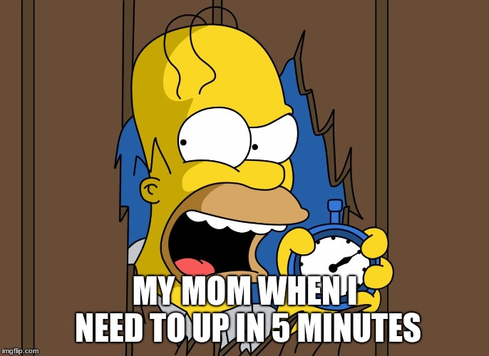 Homer Simpsons 60 Minutes | MY MOM WHEN I NEED TO UP IN 5 MINUTES | image tagged in homer simpsons 60 minutes | made w/ Imgflip meme maker
