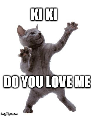 Happy Dance Cat | KI KI; DO YOU LOVE ME | image tagged in happy dance cat | made w/ Imgflip meme maker