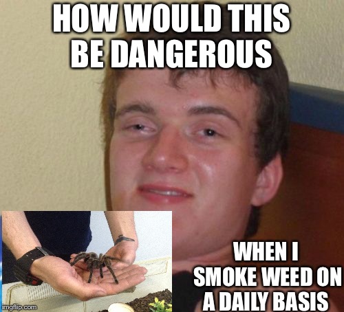 10 Guy Meme | HOW WOULD THIS BE DANGEROUS; WHEN I SMOKE WEED ON A DAILY BASIS | image tagged in memes,10 guy | made w/ Imgflip meme maker