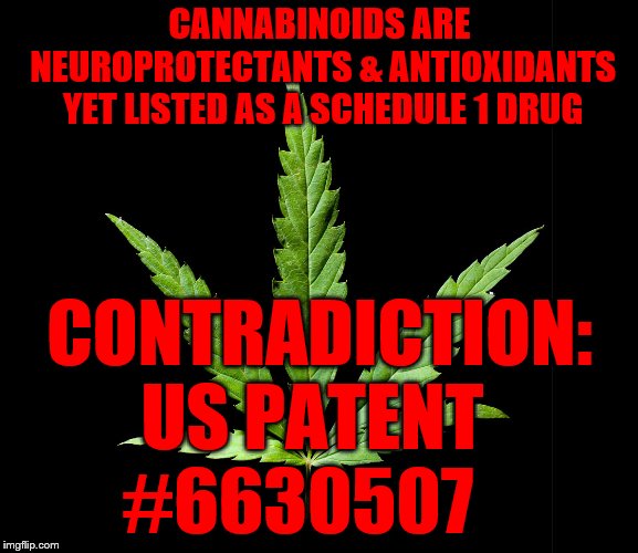 Cannabis/Marijuana leaf | CANNABINOIDS ARE NEUROPROTECTANTS & ANTIOXIDANTS YET LISTED AS A SCHEDULE 1 DRUG; CONTRADICTION:    US PATENT          #6630507 | image tagged in cannabis/marijuana leaf | made w/ Imgflip meme maker