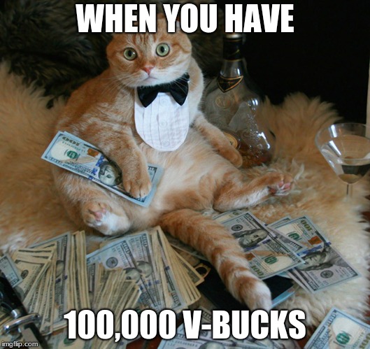 MONEY CAT - ALTERNATIVE FACTS | WHEN YOU HAVE; 100,000 V-BUCKS | image tagged in money cat - alternative facts | made w/ Imgflip meme maker