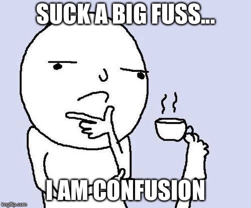 thinking meme | SUCK A BIG FUSS... I AM CONFUSION | image tagged in thinking meme | made w/ Imgflip meme maker