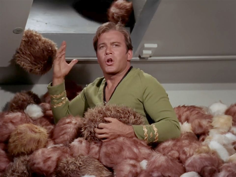 Star Trek Kirk Tribbles Blank Meme Template