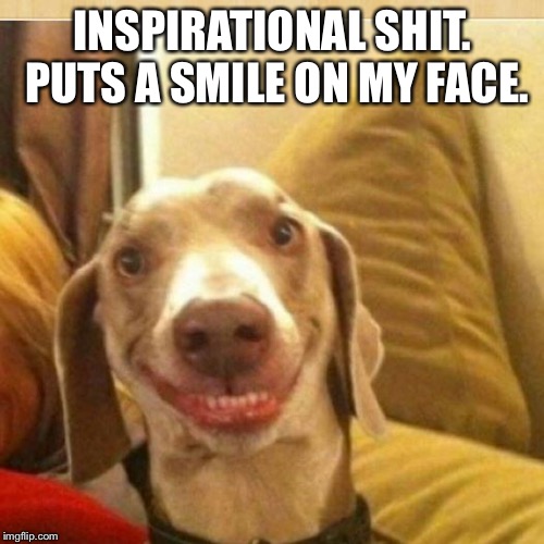big smile doggie | INSPIRATIONAL SHIT. PUTS A SMILE ON MY FACE. | image tagged in big smile doggie | made w/ Imgflip meme maker