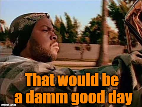 ice cube | That would be a damm good day | image tagged in ice cube | made w/ Imgflip meme maker