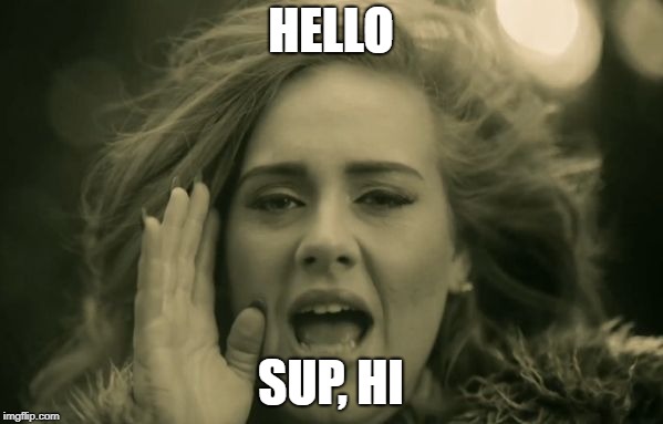 adele hello | HELLO SUP, HI | image tagged in adele hello | made w/ Imgflip meme maker