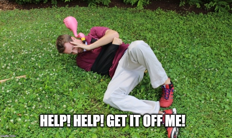 HELP! HELP! GET IT OFF ME! | made w/ Imgflip meme maker