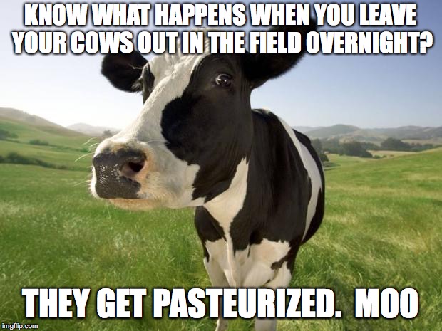 Cows come home! | KNOW WHAT HAPPENS WHEN YOU LEAVE YOUR COWS OUT IN THE FIELD OVERNIGHT? THEY GET PASTEURIZED.  MOO | image tagged in cow | made w/ Imgflip meme maker
