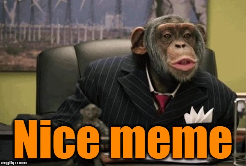 monkey bush | Nice meme | image tagged in monkey bush | made w/ Imgflip meme maker
