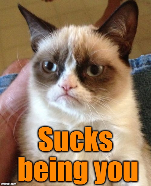 Grumpy Cat Meme | Sucks being you | image tagged in memes,grumpy cat | made w/ Imgflip meme maker