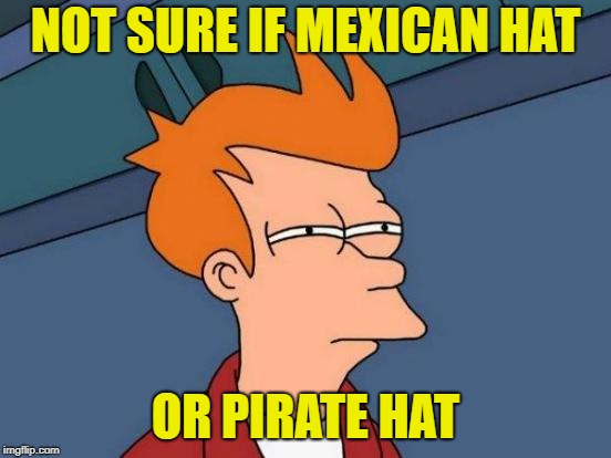 Futurama Fry Meme | NOT SURE IF MEXICAN HAT OR PIRATE HAT | image tagged in memes,futurama fry | made w/ Imgflip meme maker