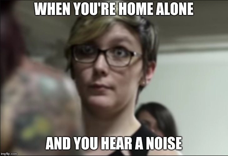 Noises and Shit | WHEN YOU'RE HOME ALONE; AND YOU HEAR A NOISE | image tagged in home alone,funny | made w/ Imgflip meme maker
