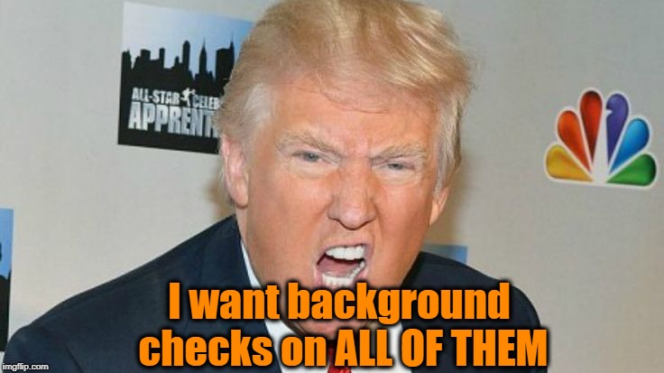 I want background checks on ALL OF THEM | image tagged in trump mad | made w/ Imgflip meme maker