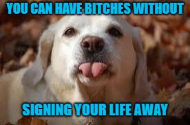 YOU CAN HAVE B**CHES WITHOUT SIGNING YOUR LIFE AWAY | made w/ Imgflip meme maker