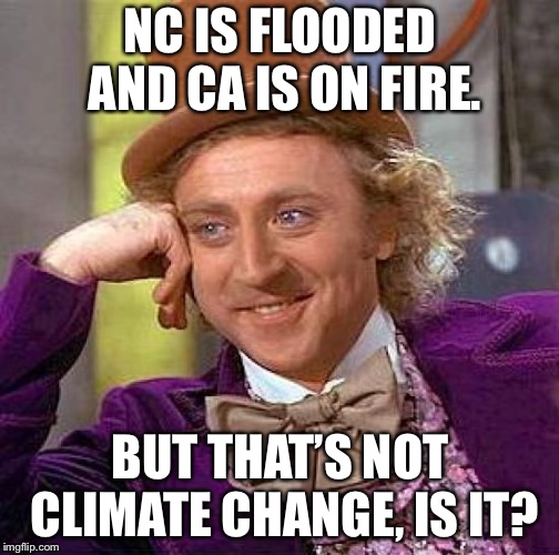 Creepy Condescending Wonka Meme | NC IS FLOODED AND CA IS ON FIRE. BUT THAT’S NOT CLIMATE CHANGE, IS IT? | image tagged in memes,creepy condescending wonka | made w/ Imgflip meme maker