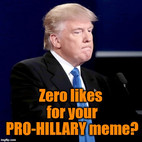 Zero likes for your PRO-HILLARY meme? | made w/ Imgflip meme maker