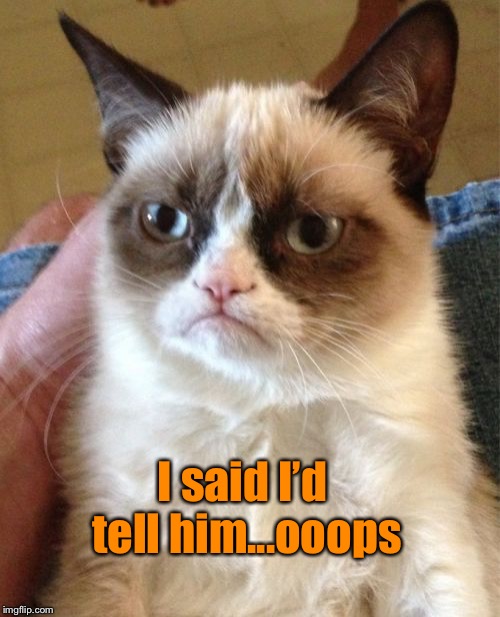 Grumpy Cat Meme | I said I’d tell him...ooops | image tagged in memes,grumpy cat | made w/ Imgflip meme maker