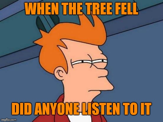 Futurama Fry Meme | WHEN THE TREE FELL DID ANYONE LISTEN TO IT | image tagged in memes,futurama fry | made w/ Imgflip meme maker