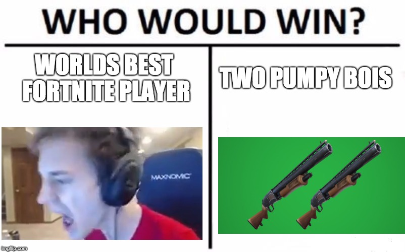 Who Would Win? Meme | WORLDS BEST FORTNITE PLAYER; TWO PUMPY BOIS | image tagged in memes,who would win | made w/ Imgflip meme maker