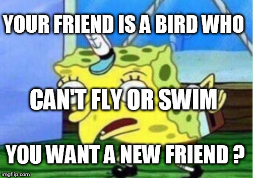 Spongebob tries to make a new flightless bird that can't swim | YOUR FRIEND IS A BIRD WHO CAN'T FLY OR SWIM YOU WANT A NEW FRIEND ? | image tagged in memes,mocking spongebob,lonely spongebob,condescending spongebob,bird,want a friend | made w/ Imgflip meme maker