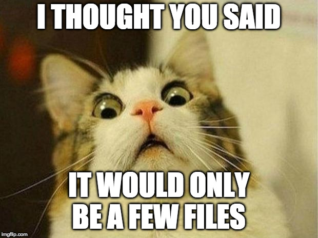 Scared Cat Meme | I THOUGHT YOU SAID; IT WOULD ONLY   BE A FEW FILES | image tagged in memes,scared cat | made w/ Imgflip meme maker