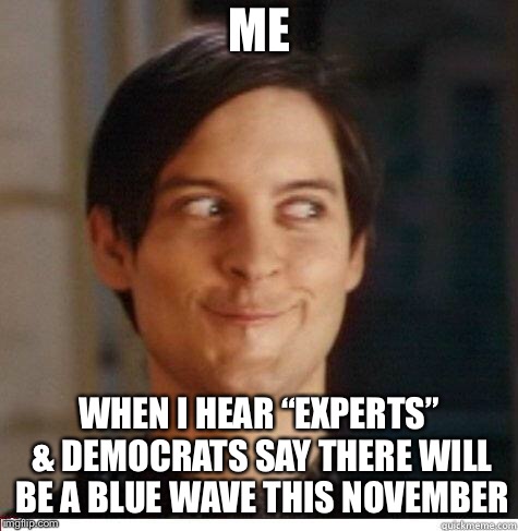 Bwahahahahahahahahahaha!  We’re in for a repeat of Nov 2016 folks.  Get your popcorn ready to see liberals melt down! | ME; WHEN I HEAR “EXPERTS” & DEMOCRATS SAY THERE WILL BE A BLUE WAVE THIS NOVEMBER | image tagged in toby maguire,maga | made w/ Imgflip meme maker
