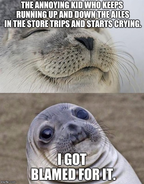 Short Satisfaction VS Truth | THE ANNOYING KID WHO KEEPS RUNNING UP AND DOWN THE AISLE IN THE STORE TRIPS AND STARTS CRYING. I GOT BLAMED FOR IT. | image tagged in memes,short satisfaction vs truth | made w/ Imgflip meme maker