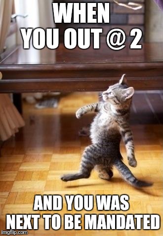 Cool Cat Stroll | WHEN YOU OUT @ 2; AND YOU WAS NEXT TO BE MANDATED | image tagged in memes,cool cat stroll | made w/ Imgflip meme maker