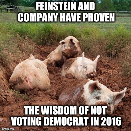 Disgusting | FEINSTEIN AND COMPANY HAVE PROVEN; THE WISDOM OF NOT VOTING DEMOCRAT IN 2016 | image tagged in memes,dianne feinstein,democrats | made w/ Imgflip meme maker
