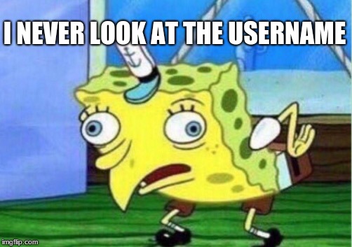 Mocking Spongebob Meme | I NEVER LOOK AT THE USERNAME | image tagged in memes,mocking spongebob | made w/ Imgflip meme maker