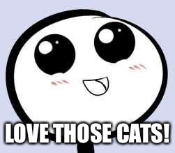 just cute | LOVE THOSE CATS! | image tagged in just cute | made w/ Imgflip meme maker