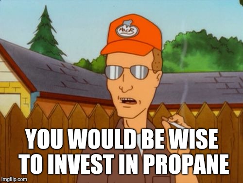 Dale Gribble | YOU WOULD BE WISE TO INVEST IN PROPANE | image tagged in dale gribble | made w/ Imgflip meme maker