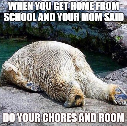 oh no not again  | WHEN YOU GET HOME FROM SCHOOL AND YOUR MOM SAID; DO YOUR CHORES AND ROOM | image tagged in oh no not again | made w/ Imgflip meme maker