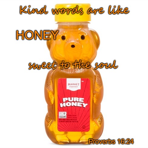 Proverbs 16:24 Kind Words Are Like Honey | Kind words are like; HONEY; sweet to the soul; Proverbs 16:24 | image tagged in bible,holy bible,holy spirit,bible verse,verse,god | made w/ Imgflip meme maker