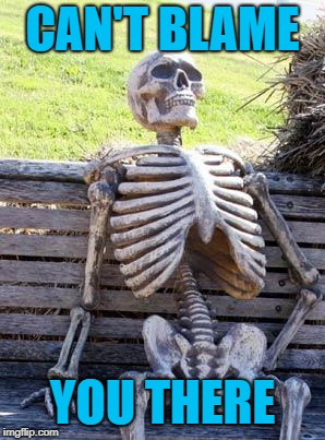 Waiting Skeleton Meme | CAN'T BLAME YOU THERE | image tagged in memes,waiting skeleton | made w/ Imgflip meme maker