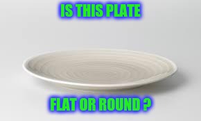 Plate | IS THIS PLATE FLAT OR ROUND ? | image tagged in plate | made w/ Imgflip meme maker