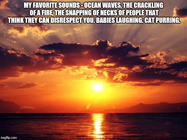 Sunset | MY FAVORITE SOUNDS - OCEAN WAVES, THE CRACKLING OF A FIRE, THE SNAPPING OF NECKS OF PEOPLE THAT THINK THEY CAN DISRESPECT YOU. BABIES LAUGHING. CAT PURRING. | image tagged in sunset | made w/ Imgflip meme maker