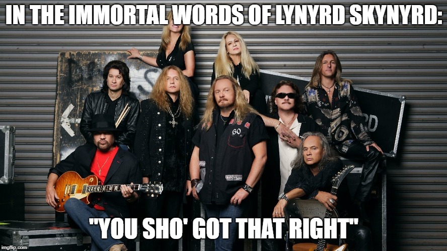 Got That Right! | IN THE IMMORTAL WORDS OF LYNYRD SKYNYRD:; "YOU SHO' GOT THAT RIGHT" | image tagged in agree,upvote | made w/ Imgflip meme maker