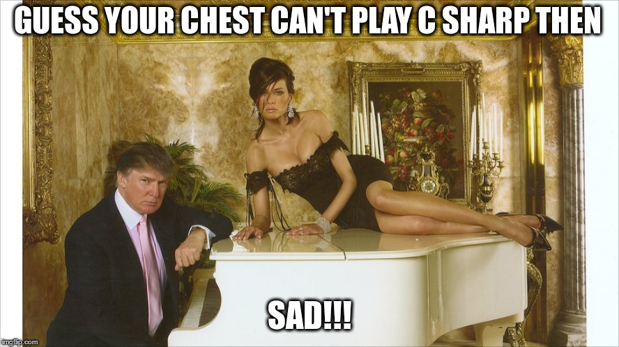 trump piano | GUESS YOUR CHEST CAN'T PLAY C SHARP THEN SAD!!! | image tagged in trump piano | made w/ Imgflip meme maker