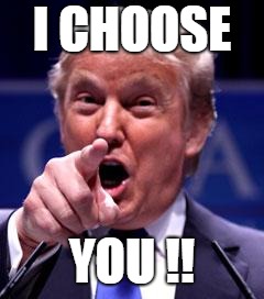 Trump Trademark | I CHOOSE; YOU !! | image tagged in trump trademark | made w/ Imgflip meme maker