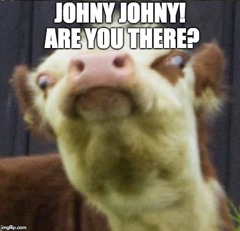 JOHNY JOHNY! ARE YOU THERE? | image tagged in yeet | made w/ Imgflip meme maker