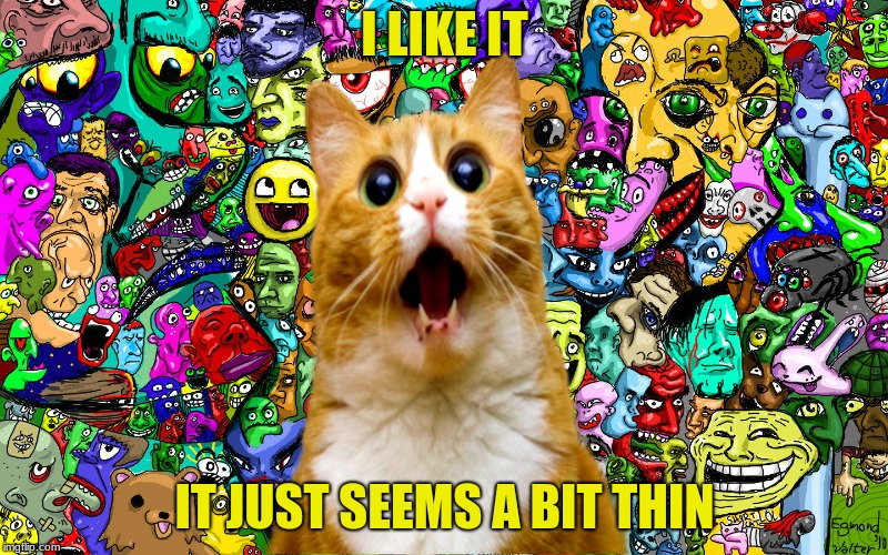Shocked kitty | I LIKE IT IT JUST SEEMS A BIT THIN | image tagged in shocked kitty | made w/ Imgflip meme maker