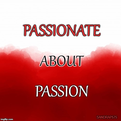 Red background | PASSIONATE; ABOUT; PASSION; SANDRAP575 | image tagged in red background | made w/ Imgflip meme maker