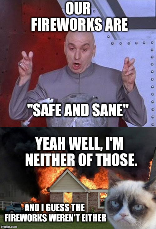 Such a vague term... | OUR FIREWORKS ARE; "SAFE AND SANE"; YEAH WELL, I'M NEITHER OF THOSE. AND I GUESS THE FIREWORKS WEREN'T EITHER | image tagged in dr evil laser,burn kitty,fireworks,4th of july | made w/ Imgflip meme maker