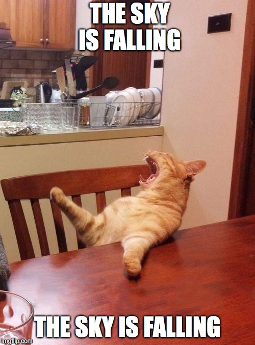 Ma the meatloaf cat | THE SKY IS FALLING; THE SKY IS FALLING | image tagged in ma the meatloaf cat | made w/ Imgflip meme maker